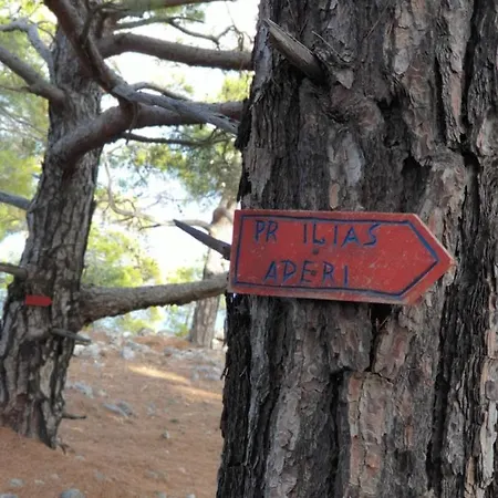 Regina & Kárpathosz